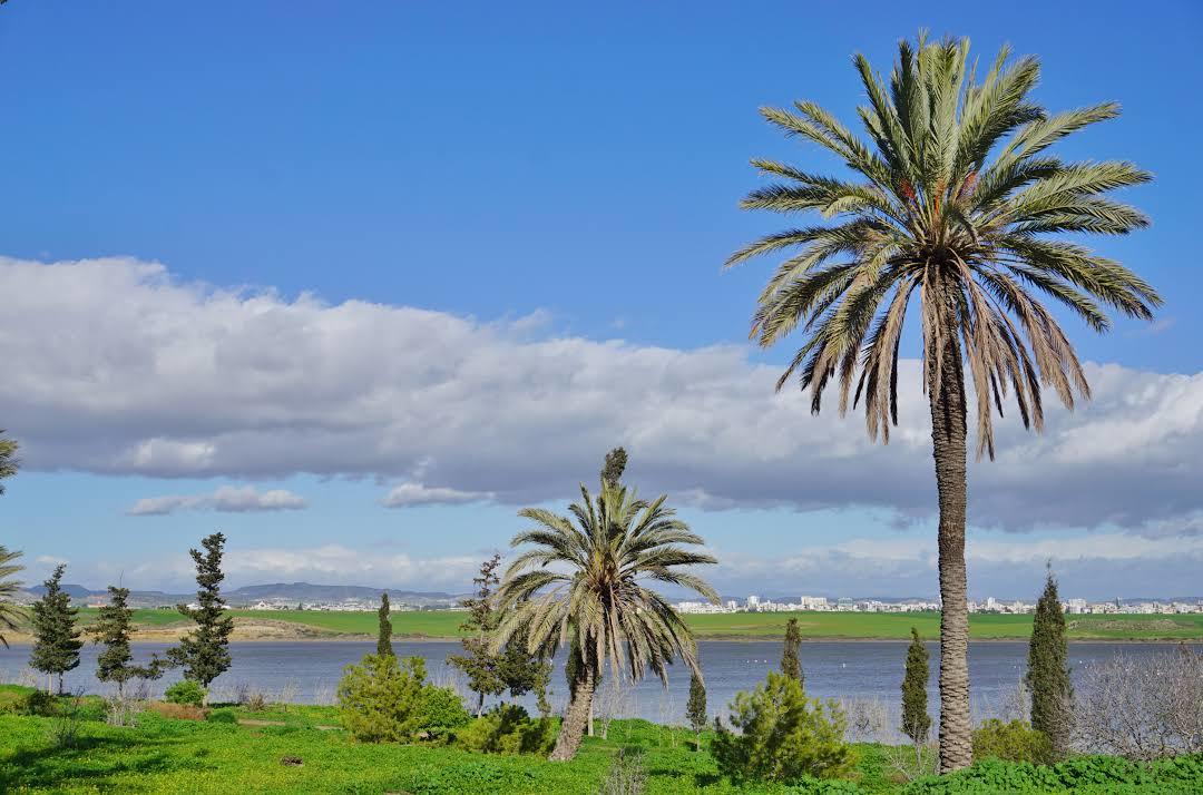 Larnaca Salt Lake